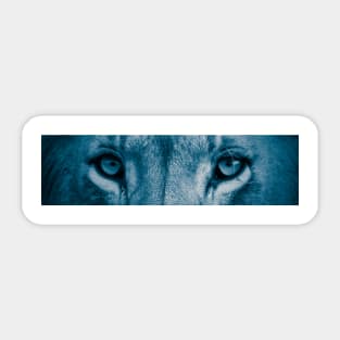 Lion eyes (Blue) Sticker